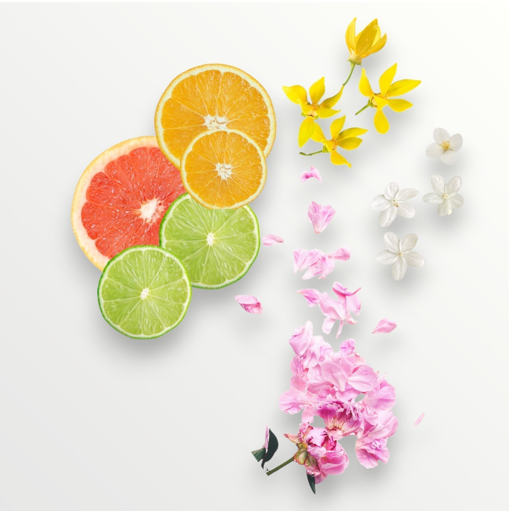 Sliced citrus fruits with flowers on a white background