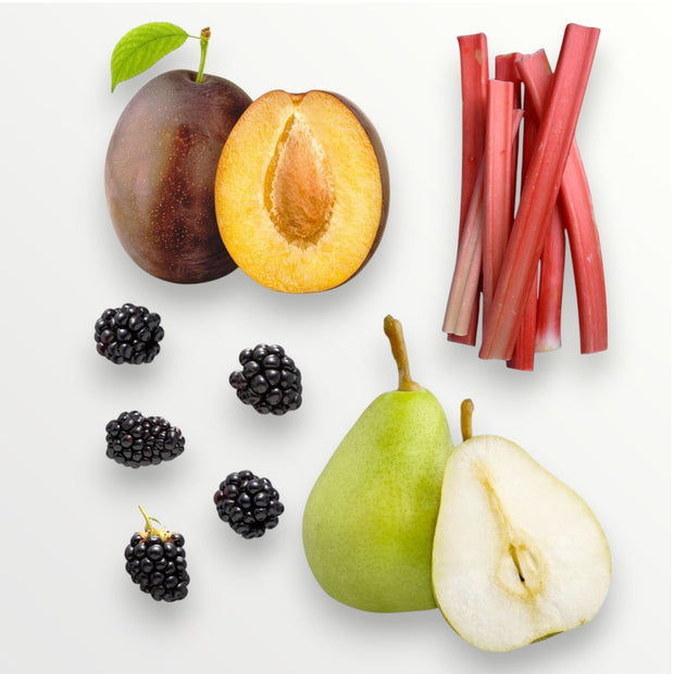 Black Plum and Rhubarb