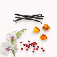 Vanilla beans, orchid flower, red berries, and amber-colored stones on a white background