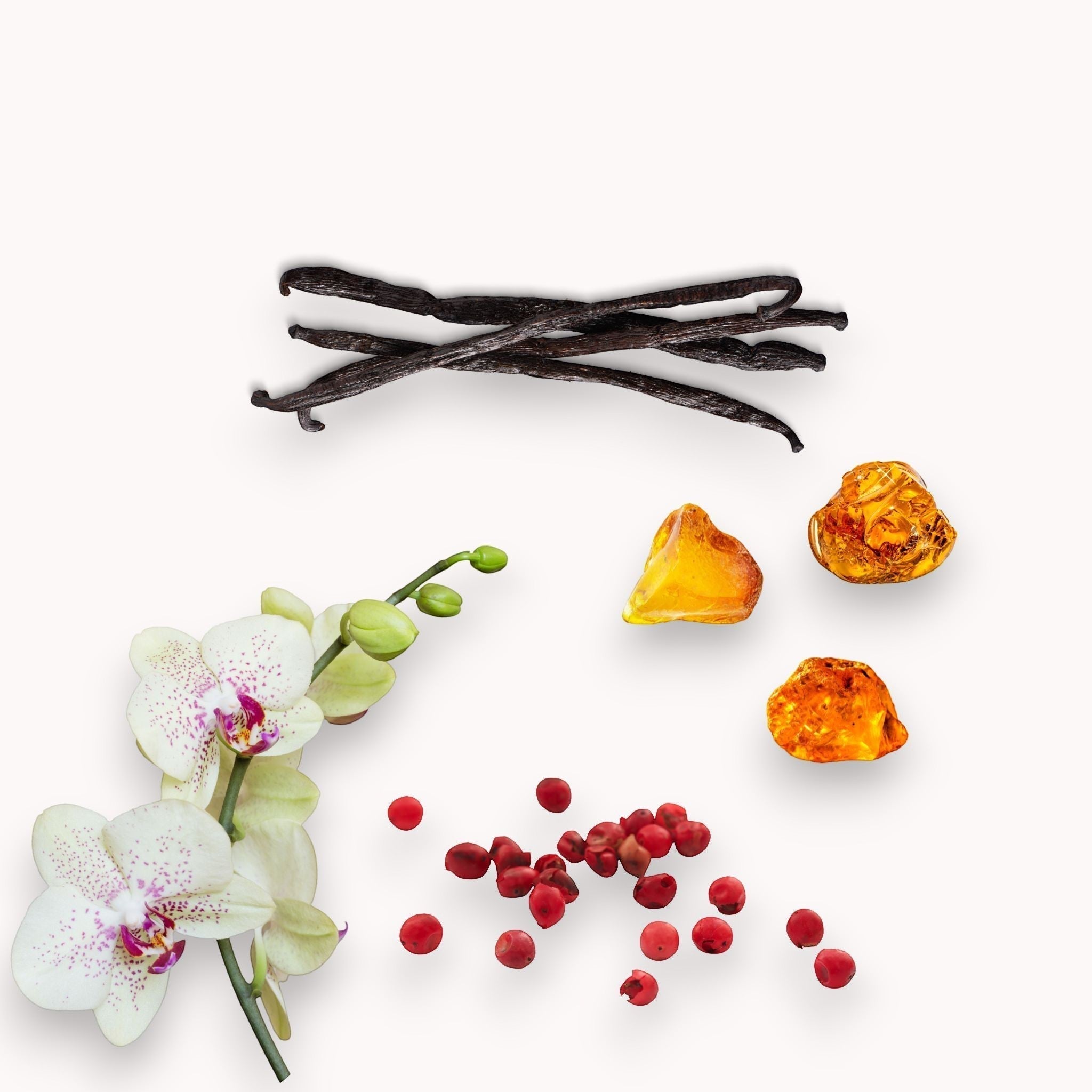 Vanilla beans, orchid flower, red berries, and amber-colored stones on a white background