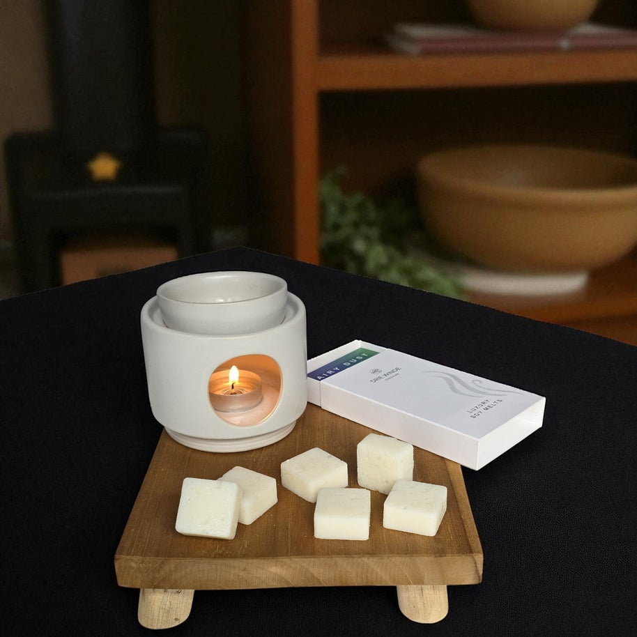 FAIRY DUST WAX MELTS