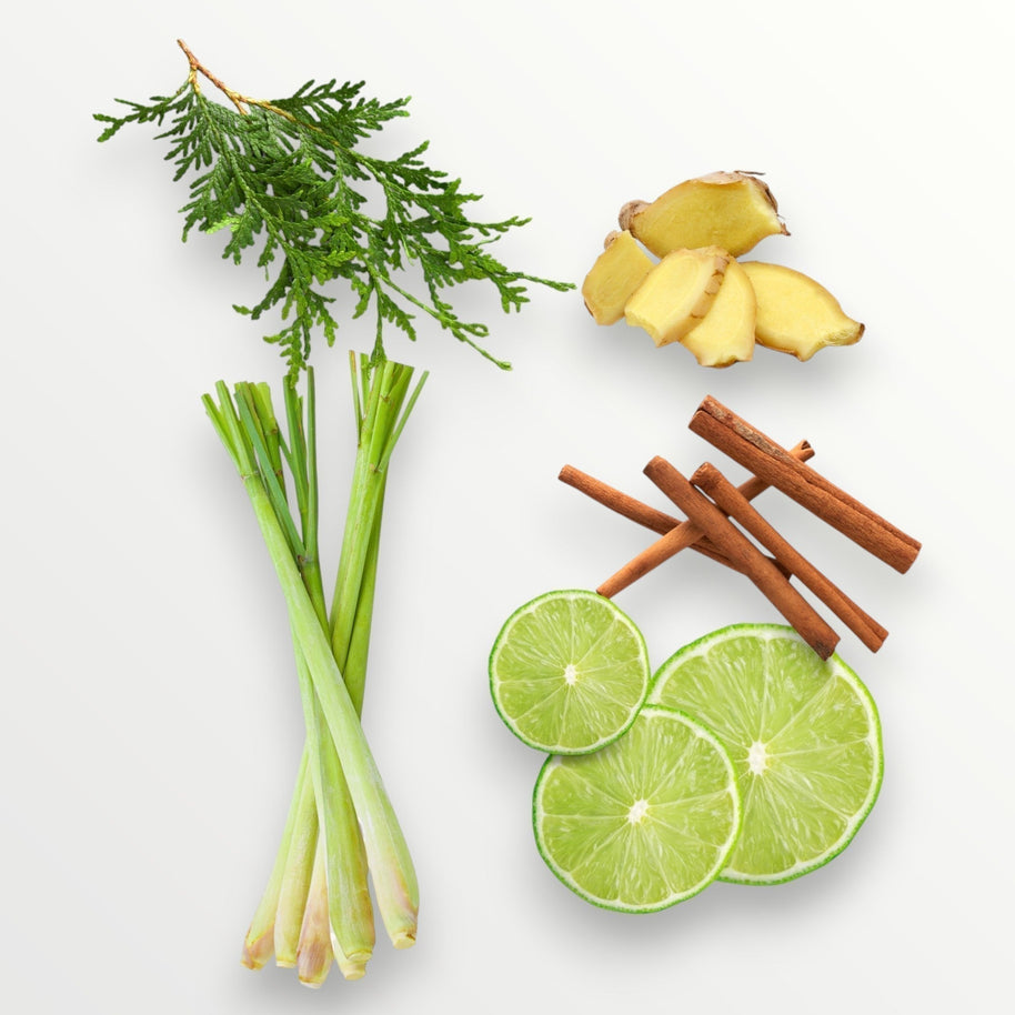 Lemongrass and Ginger - Reed Diffuser