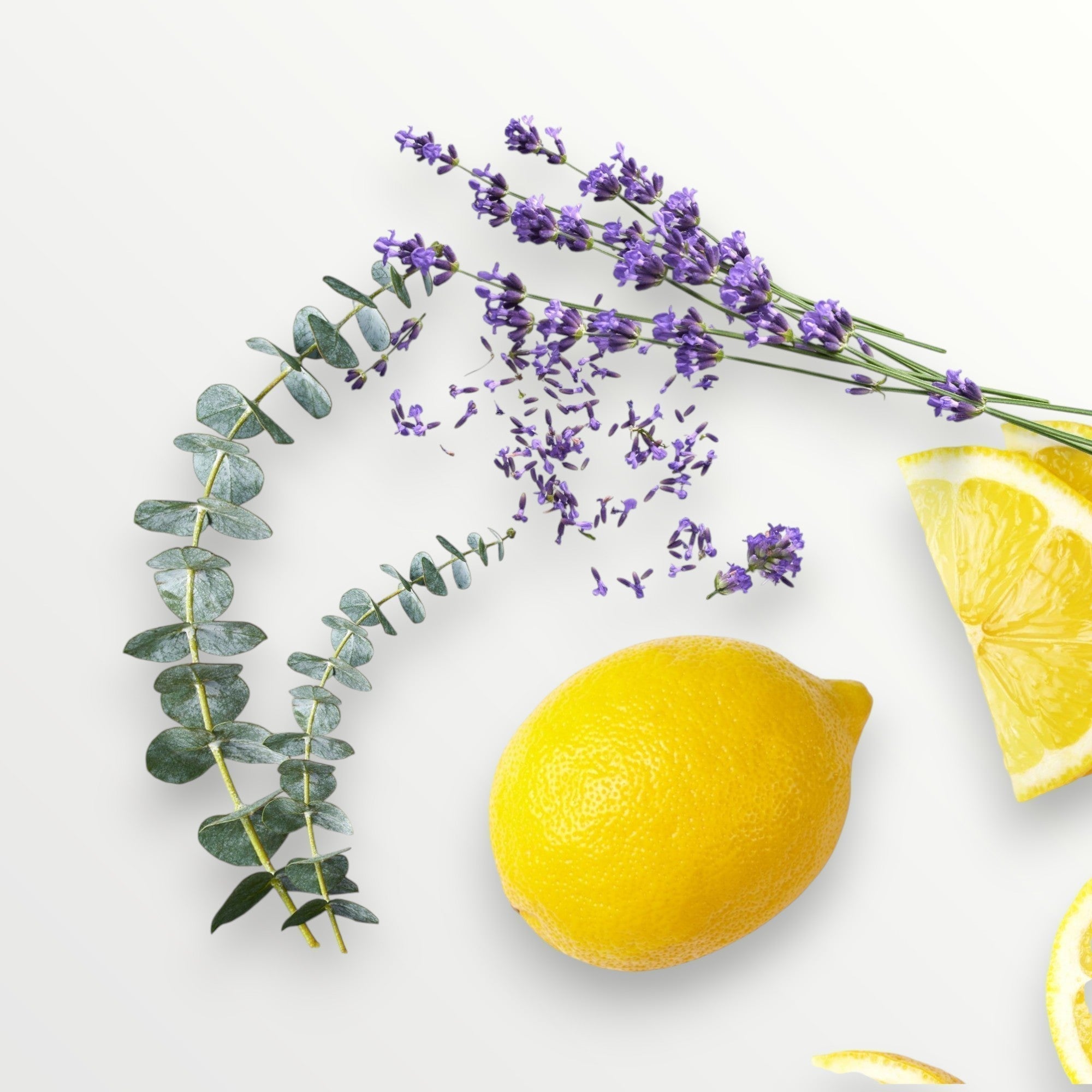  LEMON LAVENDER WAX MELTS