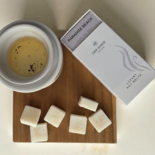 PARADISE BEACH WAX MELTS