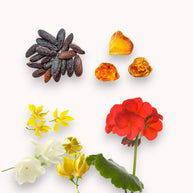 SPRING AWAKENING WAX MELTS