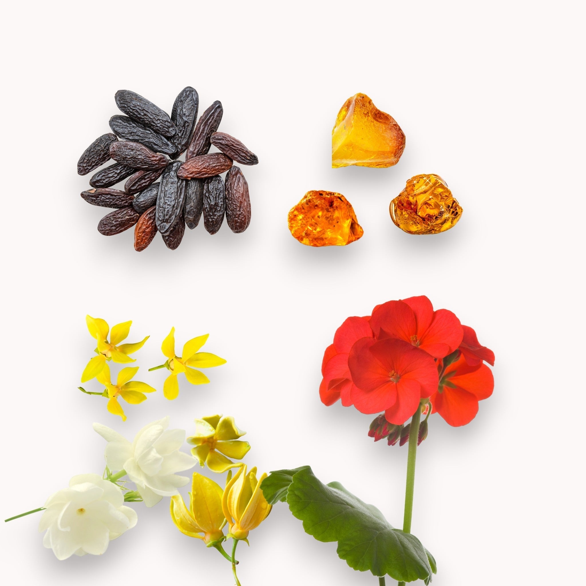 SPRING AWAKENING WAX MELTS