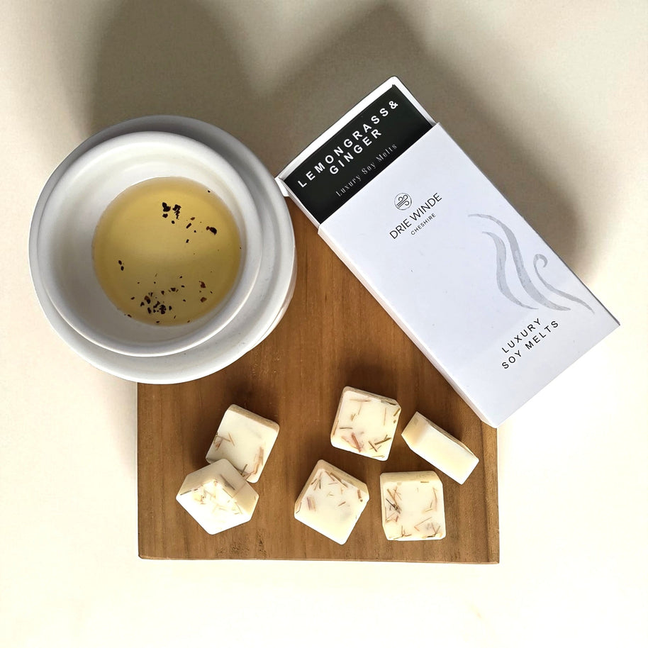 BOTANICAL LEMONGRASS GINGER WAX MELTS