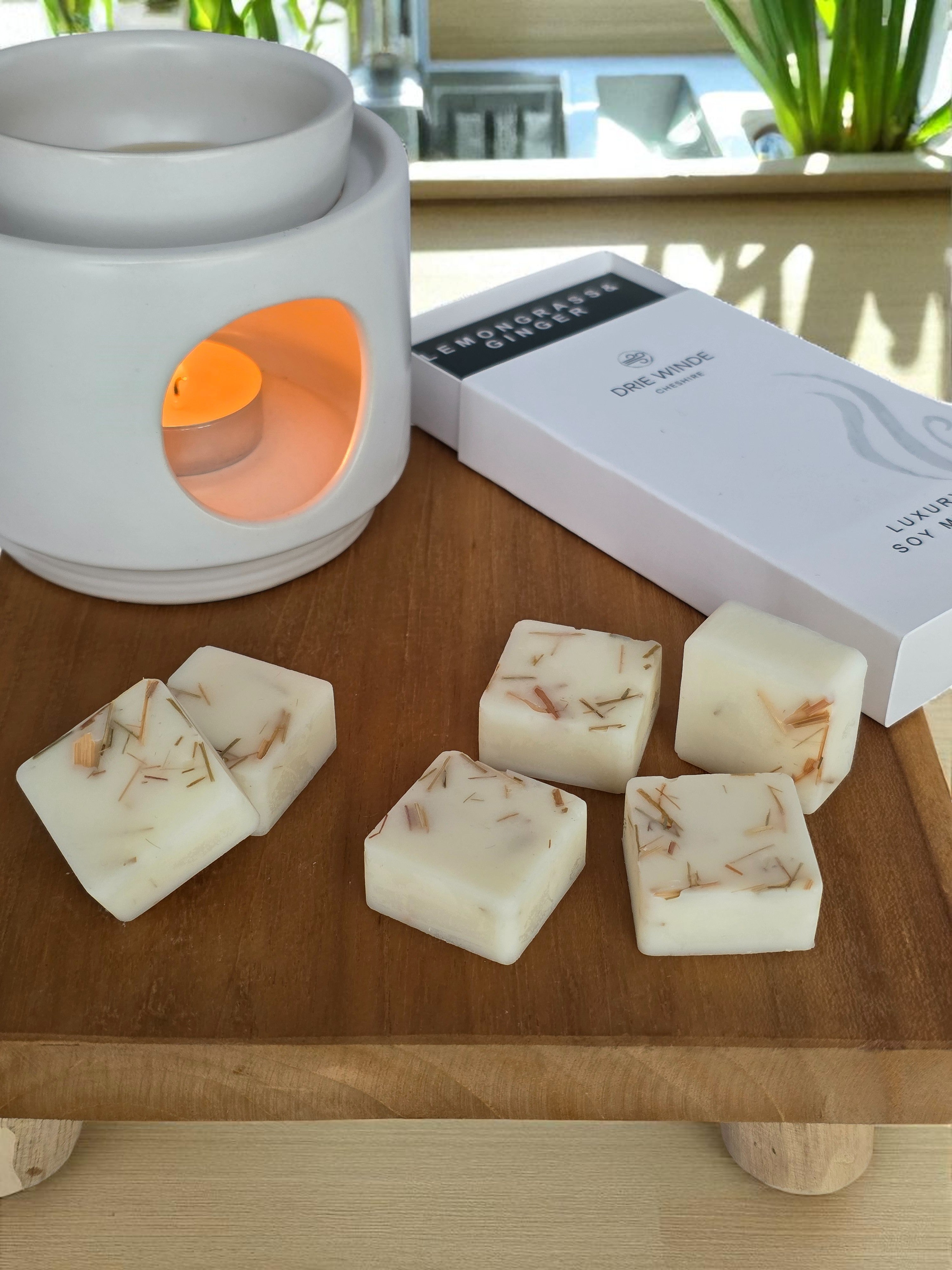 BOTANICAL LEMONGRASS GINGER WAX MELTS