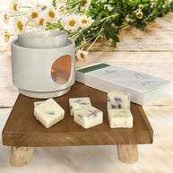 SPRING AWAKENING WAX MELTS